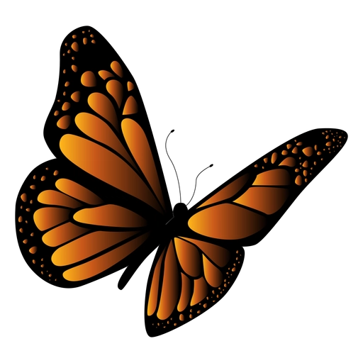 Mariposa